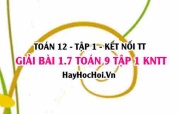 Bài 1.7 Toán 12 tập 1 SGK Kết nối tri thức